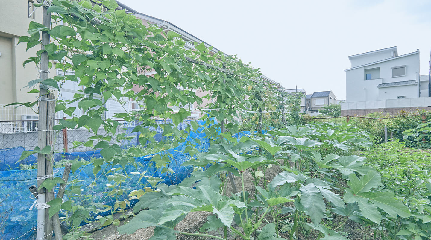ライフビュー羽曳野のサブ写真２