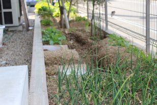 楽のサブ写真１