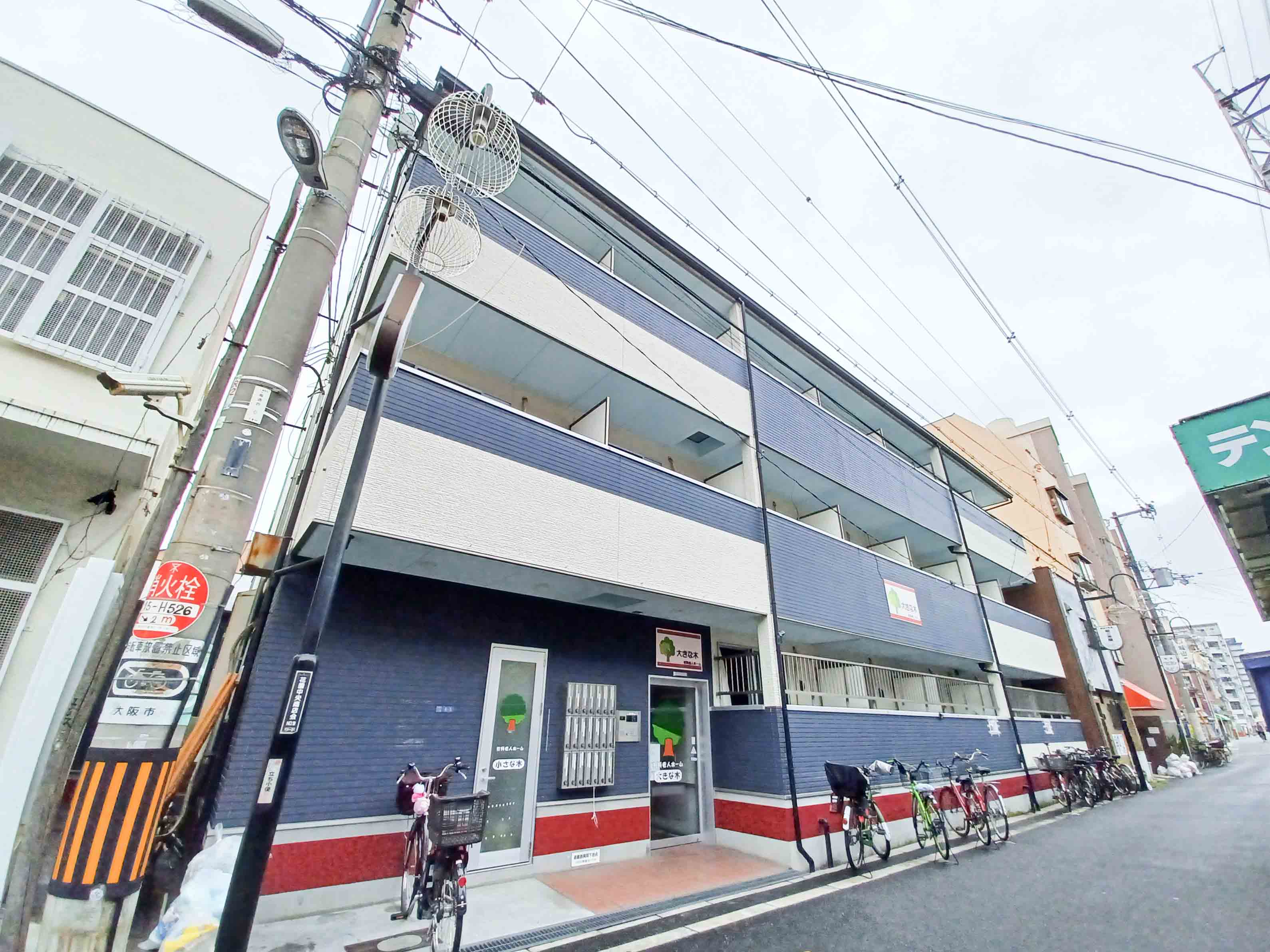 大きな木のメイン写真