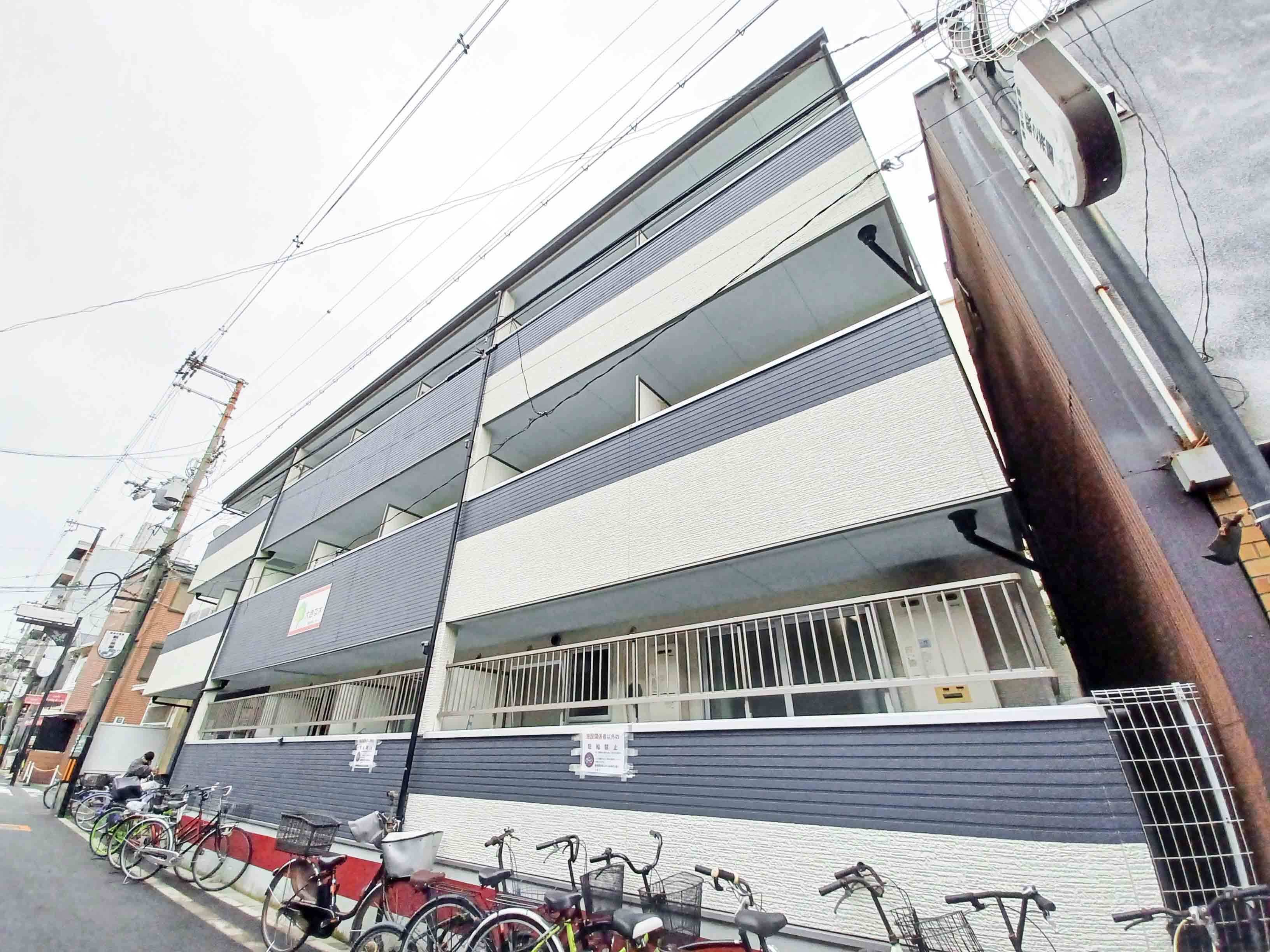 大きな木のサブ写真２