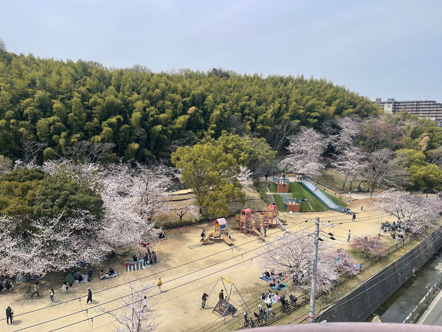 自然豊かな「服部緑地公園」のすぐ近くに位置している施設です。居室にも共用部にも様々な設備を備えており暮らしやすさを追求しています。