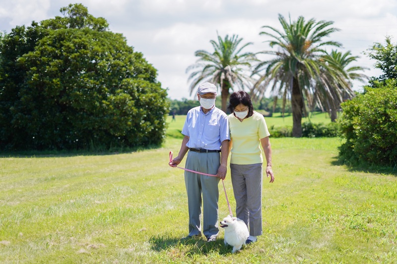 介護難民とは？増加する原因と今からできる7つの対策をわかりやすく解説
